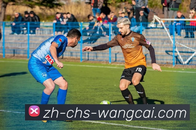 旺财28平台生态图